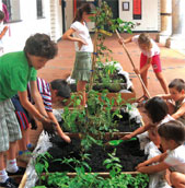 Acqua, aria, terra, fuoco