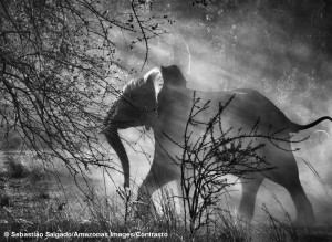 Kafue National Park, Zambia, 2010