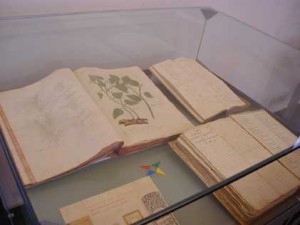 archivio03