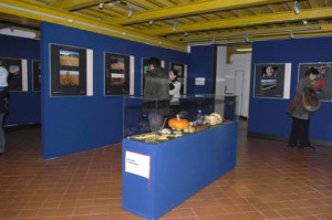 img04