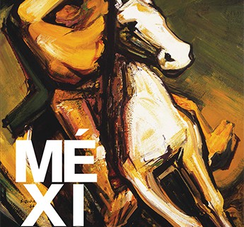 X sito 345