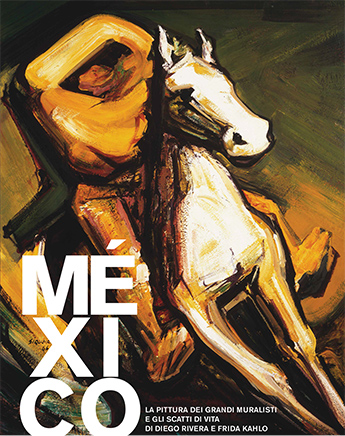 X sito 345